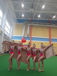 Соревнования Московской области по художественной гимнастике