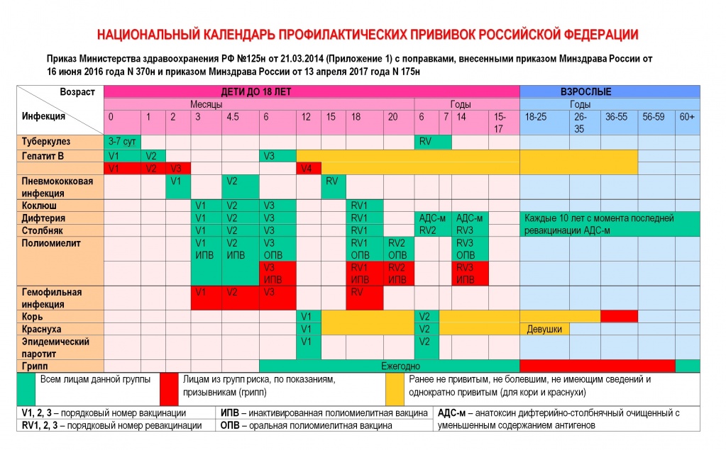Национальный календарь профилактических прививок Российской Федерации